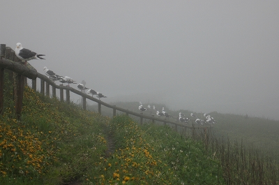 c0212083_22552111.jpg