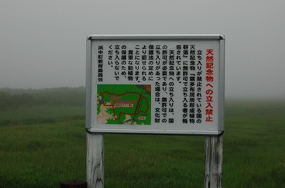 c0212083_22555989.jpg