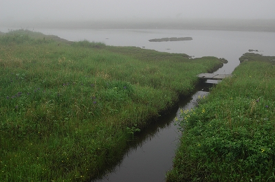 c0212083_230281.jpg