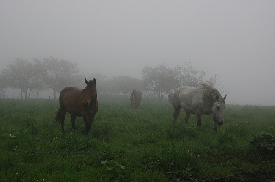 c0212083_2313033.jpg