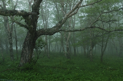 c0212083_231889.jpg