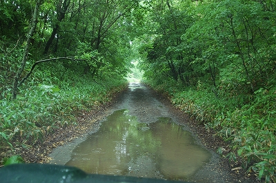 c0212083_23302622.jpg