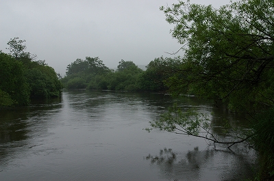 c0212083_23312519.jpg