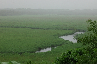 c0212083_23353534.jpg