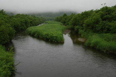 c0212083_23361146.jpg