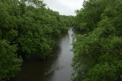 c0212083_23363898.jpg