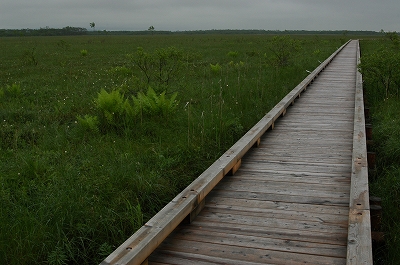 c0212083_23392036.jpg