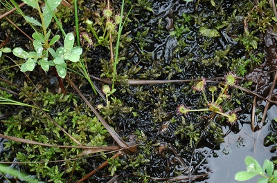 c0212083_2340387.jpg