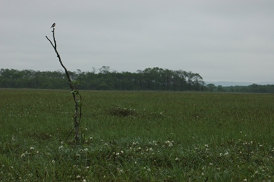 c0212083_23404719.jpg