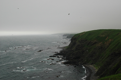 c0212083_23491345.jpg