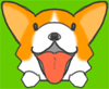 Twitterクライアント迷い中_b0011184_2244891.gif