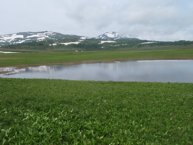 雨竜沼湿原_d0138986_22131088.jpg