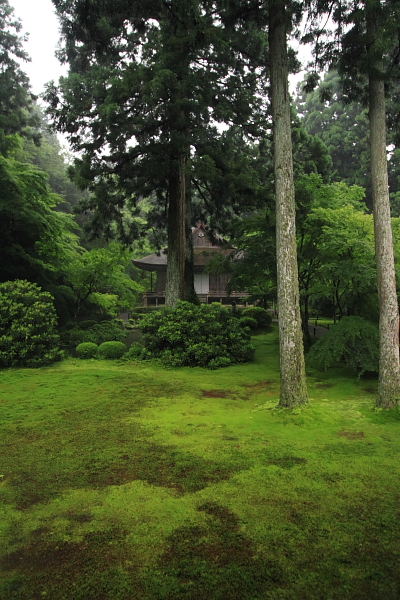 三千院_e0051888_438476.jpg