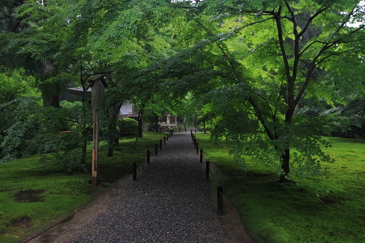 三千院_e0051888_439162.jpg