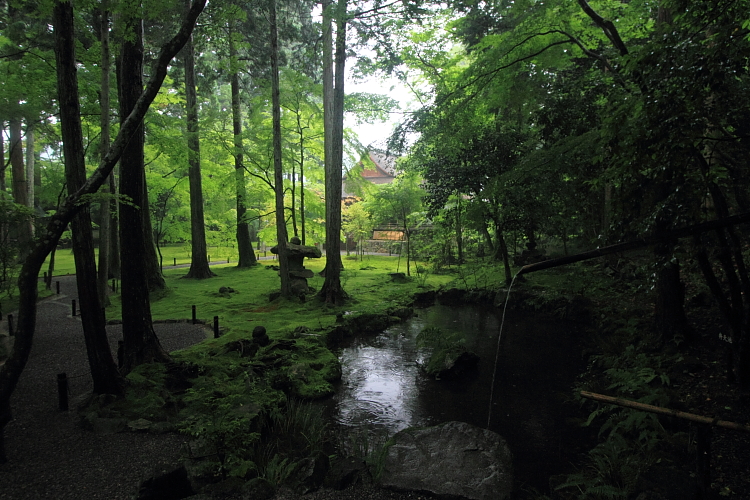三千院_e0051888_440209.jpg