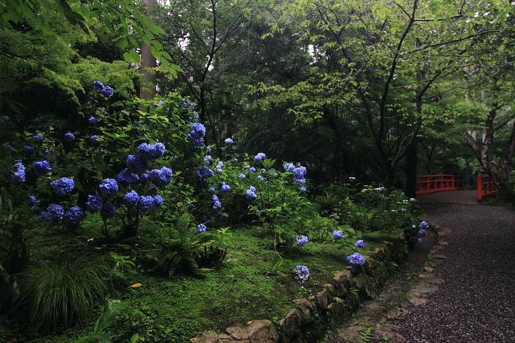三千院_e0051888_441113.jpg