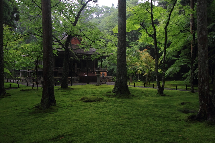 三千院_e0051888_4421323.jpg