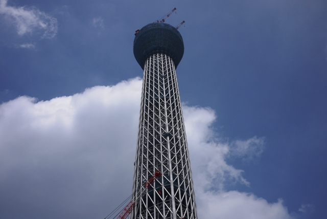 a0127090_1921335.jpg