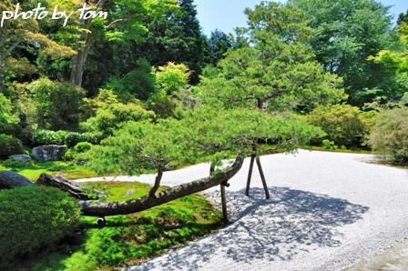 京を歩く～洛東\"曼殊院\"ミニ桂離宮_b0155692_11574693.jpg