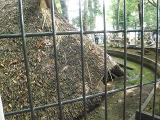 f0224492_15114823.jpg