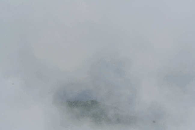 f0146493_1303473.gif