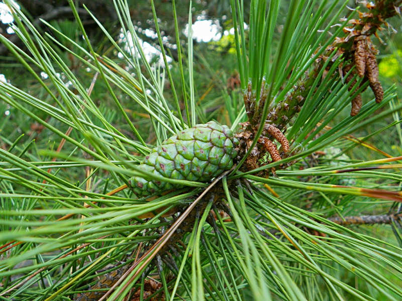 f0204094_2210362.jpg