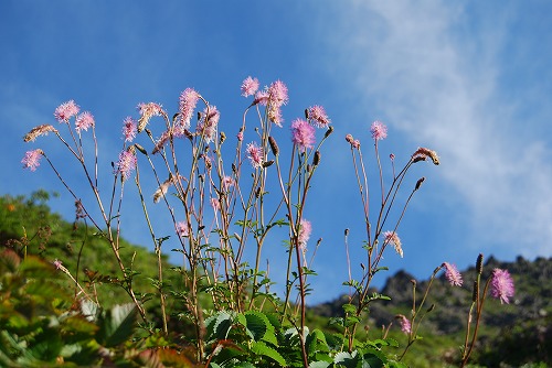 c0124100_21122315.jpg