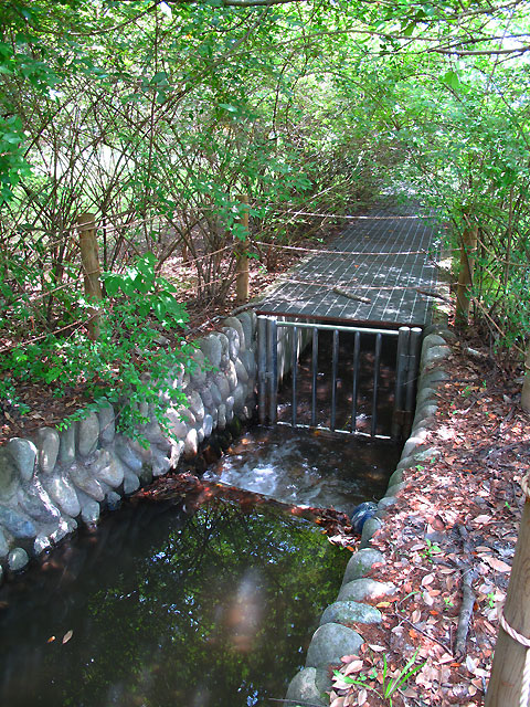 c0163001_032149.jpg