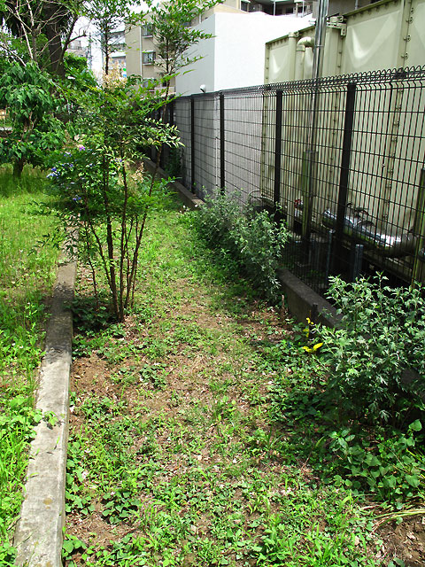 c0163001_05249.jpg