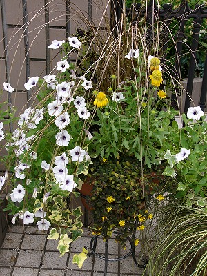 a0123003_10573940.jpg