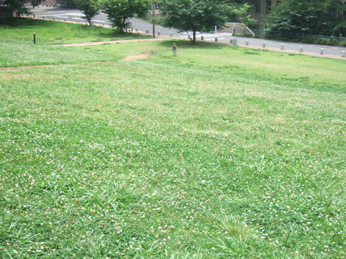 f0135006_0145919.jpg