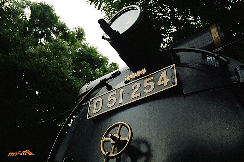 ＳＴＥＡＭ　ＬＯＣＯＭＯＴＩＶＥ_b0134907_23213374.jpg