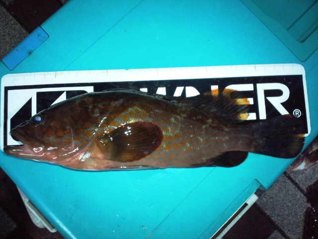 e0113508_8453411.jpg