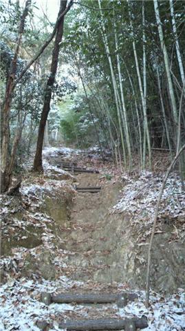 e0142809_2342719.jpg
