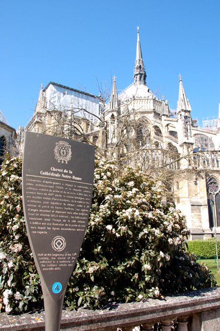 e0082110_511314.jpg