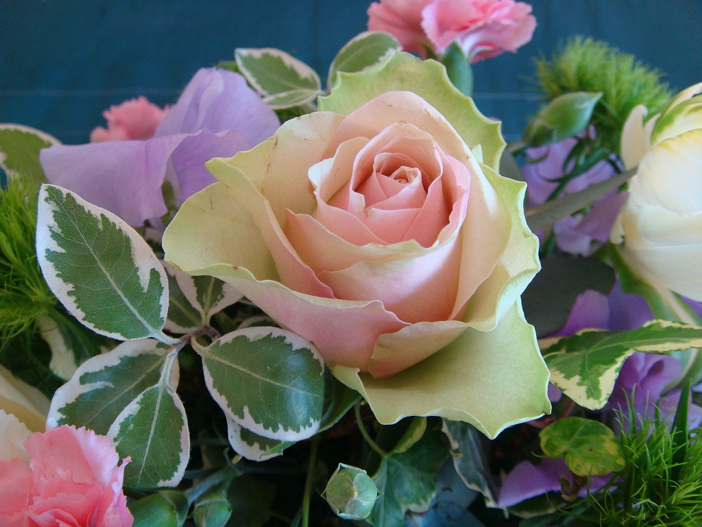 b0132411_02848.jpg