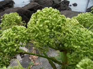 b0087914_9423320.jpg