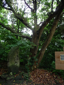 b0087914_9465040.jpg