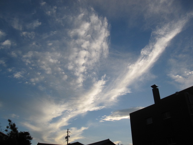 c0200314_11115244.jpg