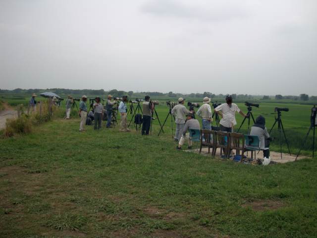 f0051915_22111210.jpg