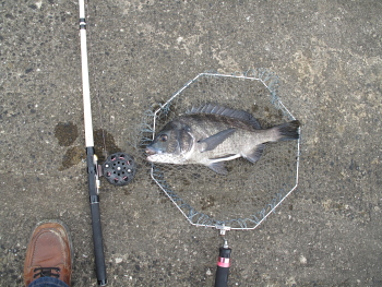 f0031423_20405072.jpg