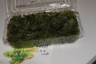f0170524_1319681.jpg