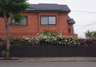 f0170524_1372941.jpg