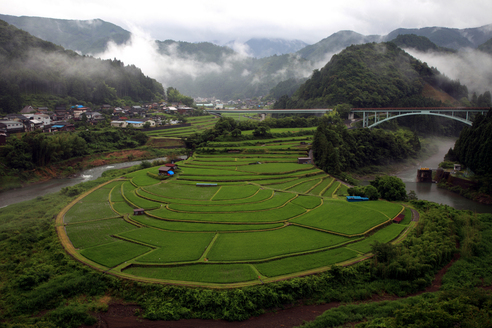 あらぎ島_a0097330_20332214.jpg