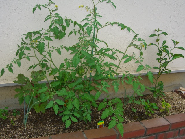 c0147830_11473872.jpg