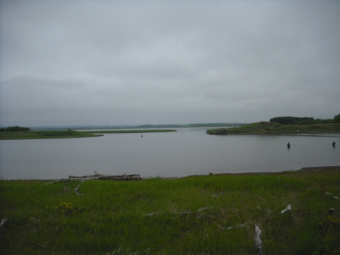 b0180946_19504498.jpg