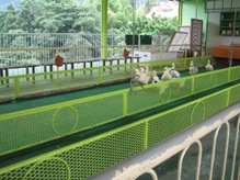e0183949_1345121.jpg
