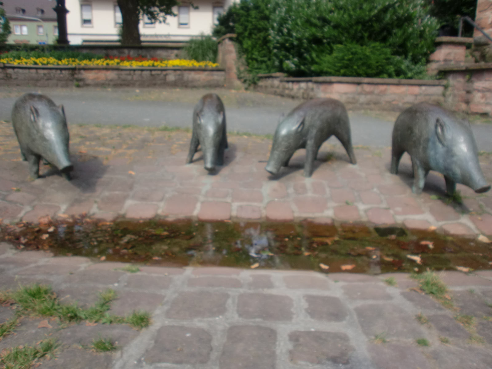 f0174549_15405712.jpg
