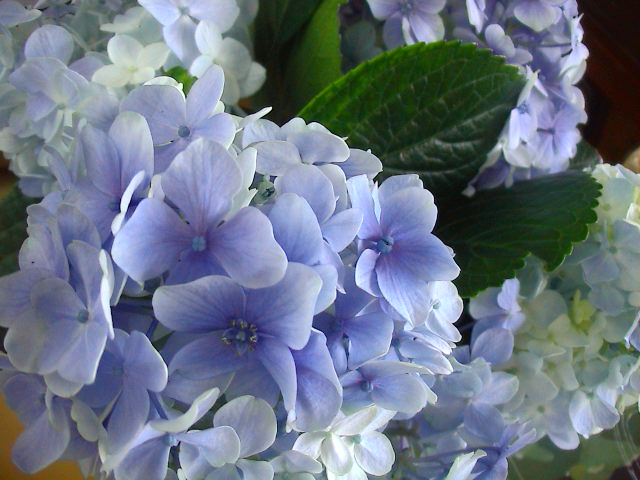 e0060555_0263996.jpg
