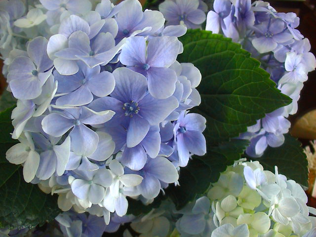 e0060555_0283631.jpg
